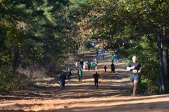 PhotoELF Edits:
2015:11:15 --- Batch Resized
2015:11:15 --- Updated User Comments
