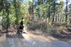 22nd-Annual-JSO-10K_10-NOV-18_Finish-Table-373