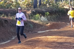 PhotoELF Edits:2019:11:10 --- Saved as: 24-Bit JPEG (EXIF) Format 98 % --- batch crop --- crop2019:11:10 --- Updated User Comments