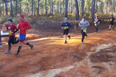 PhotoELF Edits:2019:11:10 --- Saved as: 24-Bit JPEG (EXIF) Format 98 % --- batch crop --- crop2019:11:10 --- Updated User Comments