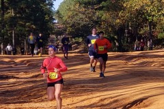 PhotoELF Edits:
2019:11:17 --- Batch Resized
2019:11:17 --- Saved as: 24-Bit JPEG (EXIF) Format 98 % --- batch crop --- crop