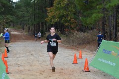 PhotoELF Edits:
2022:11:27 --- Batch Resized
2022:11:17 --- Saved as: 24-Bit JPEG (EXIF) Format 98 % --- batch crop --- crop
