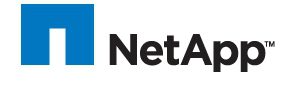 netapp_long